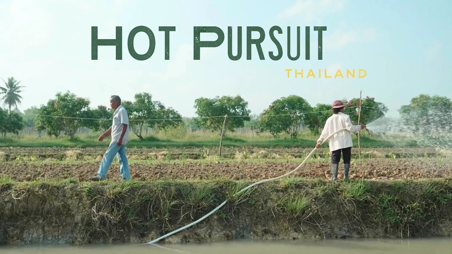 HOT PURSUIT